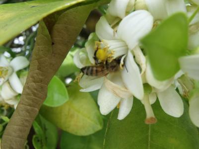 527091_134976656648164_1924109117_n